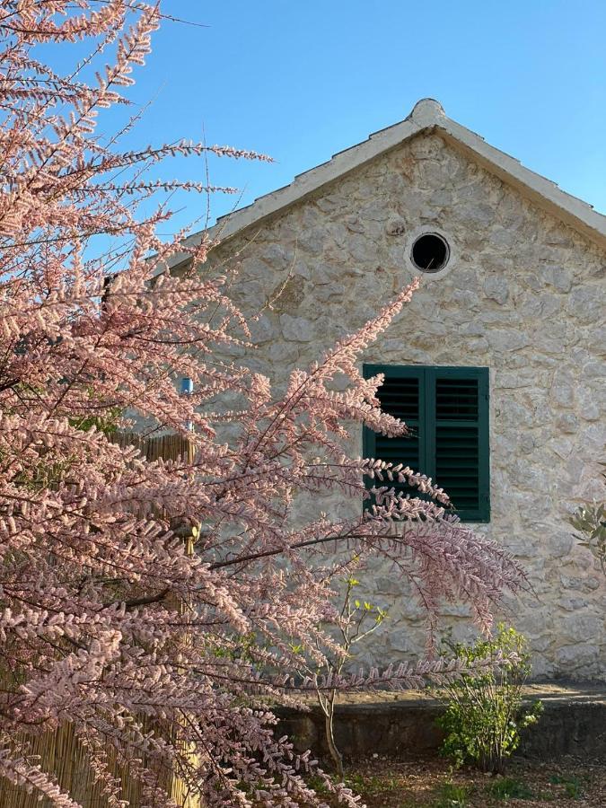 Mediterranean Olive Waterfallskrka-Croatia Villa Gulin Exterior photo